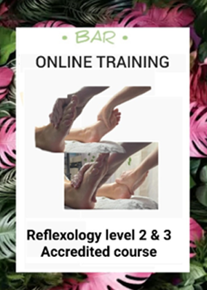 Reflexology level 2 & level 3 accredited course (Includes level 3 A&P free worth £299)